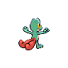 shiny (dorso)
