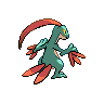 shiny (dorso)