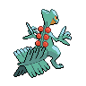 shiny (dorso)
