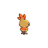 shiny (dorso)
