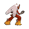 shiny (dorso)