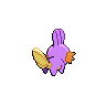 shiny (dorso)