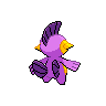 shiny (dorso)