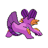 shiny (dorso)