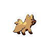 shiny (dorso)