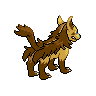shiny (dorso)