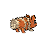 shiny (dorso)