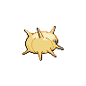 shiny (dorso)