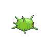 shiny (dorso)
