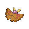 shiny (dorso)