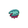 shiny (dorso)