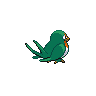 shiny (dorso)