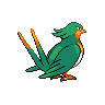 shiny (dorso)