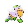shiny (dorso)