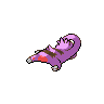 shiny (dorso)