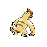 shiny (dorso)
