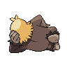 shiny (dorso)