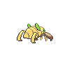 shiny (dorso)