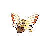 shiny (dorso)