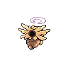 shiny (dorso)