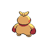 shiny (dorso)