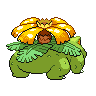 shiny (dorso)
