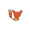shiny (dorso)