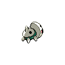 shiny (dorso)