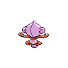 shiny (dorso)