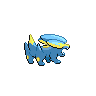 shiny (dorso)