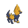shiny (dorso)