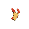 shiny (dorso)