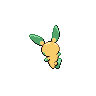 shiny (dorso)