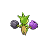 shiny (dorso)