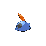 shiny (dorso)