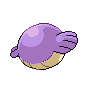 shiny (dorso)