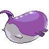 shiny (dorso)