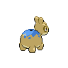 shiny (dorso)