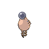 shiny (dorso)