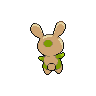 shiny (dorso)