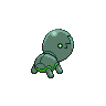 shiny (dorso)