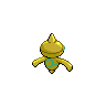 shiny (dorso)