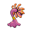 shiny (dorso)