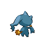 shiny (dorso)