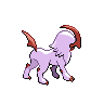 shiny (dorso)