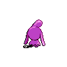 shiny (dorso)