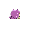 shiny (dorso)