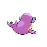 shiny (dorso)