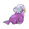 shiny (dorso)