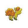 shiny (dorso)